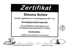 Zertifikat Schier