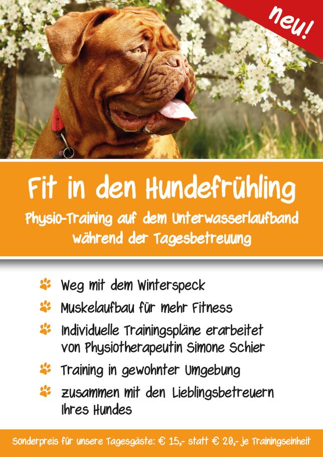 Fit in den Hundefrühling Fit in den Hundefrühling