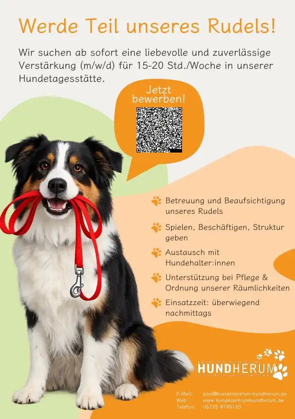 Stellenausschreibung März 2026 Stellenausschreibung März 2026